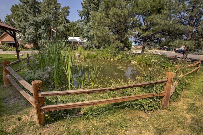 Valley Meadows Community Pond in Durango Colorado