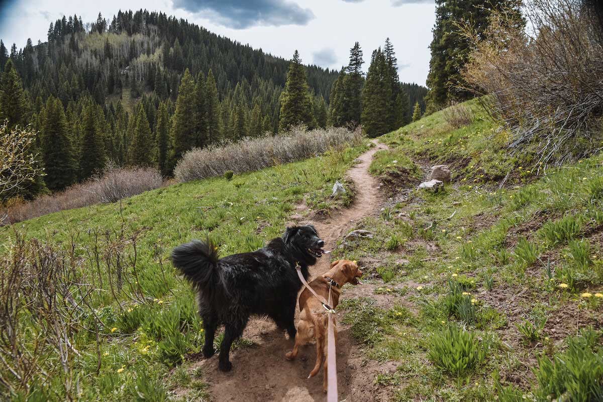 Best Hikes In Colorado: Top 7 Colorado Trails & Hiking Areas