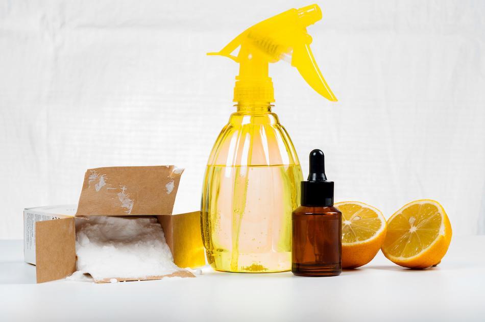 Safe and Natural Mold Cleaners