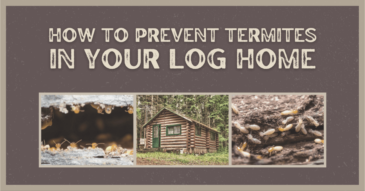 Tips for Preventing Termites in Log Homes