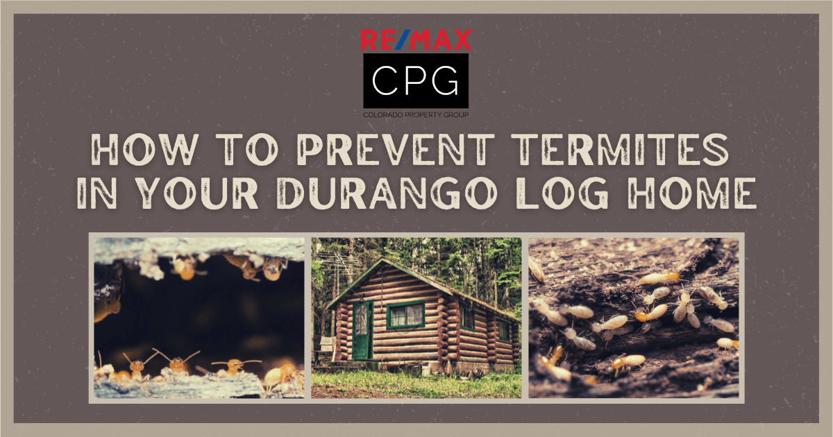 Tips for Preventing Termites in Log Homes