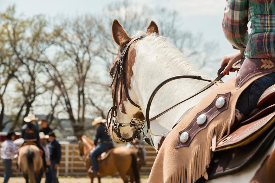 Durango Fiesta Days 2016