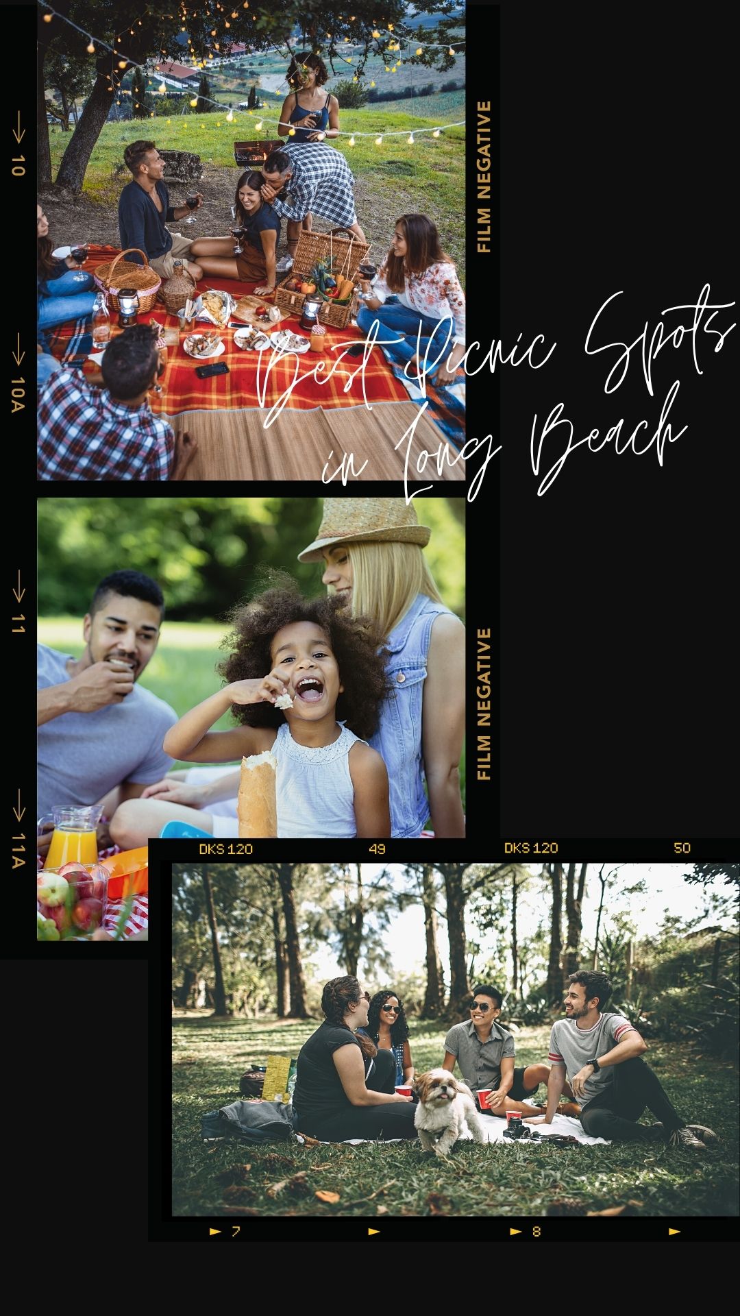 3 Perfect Places to Picnic in Long Beach CA
