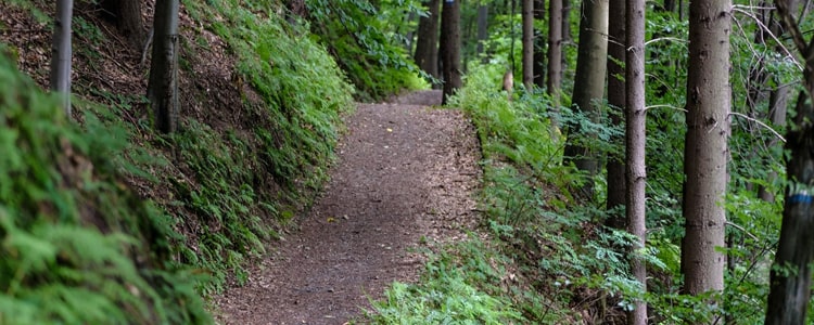 Hiking Trail 