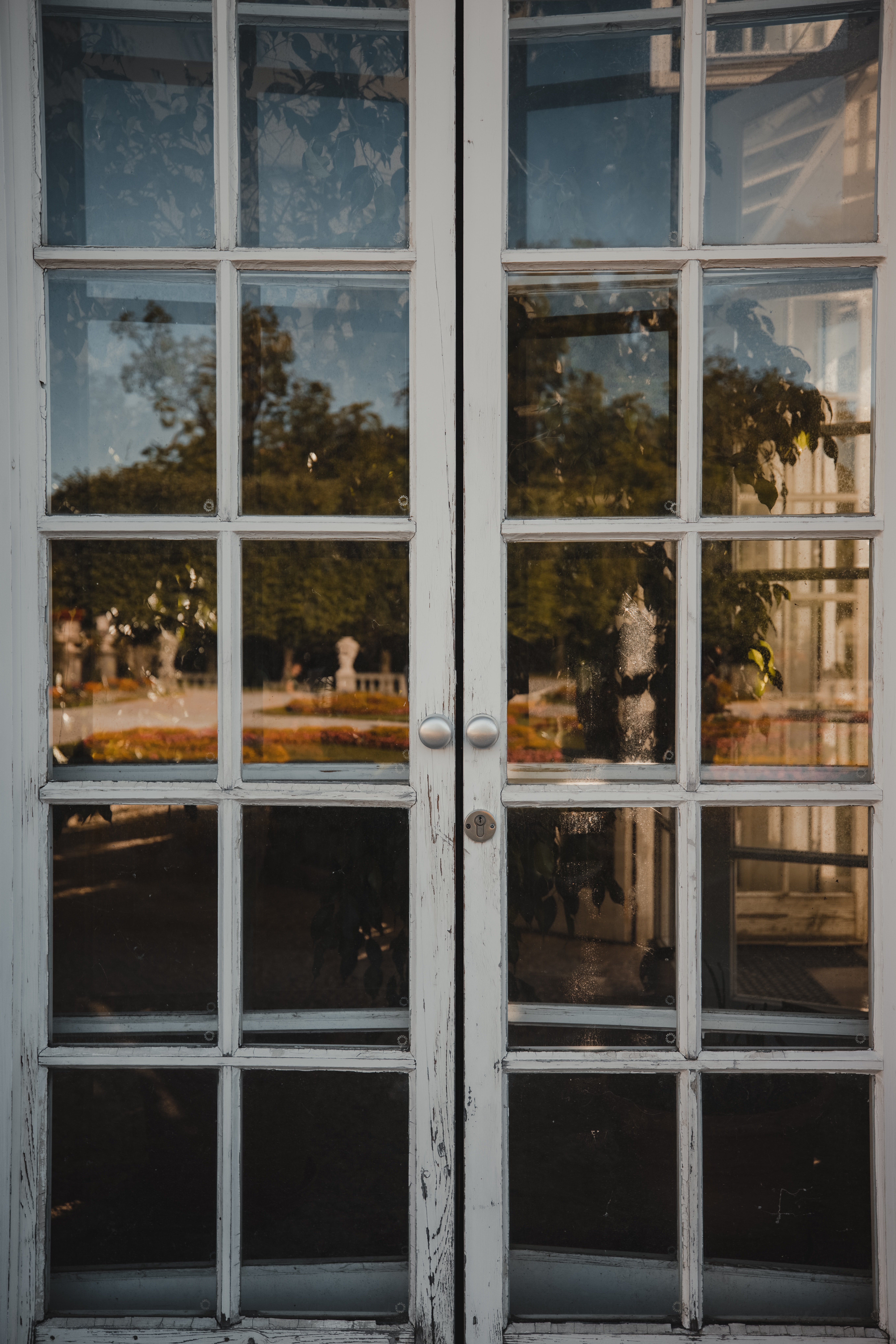French doors with peeling paint