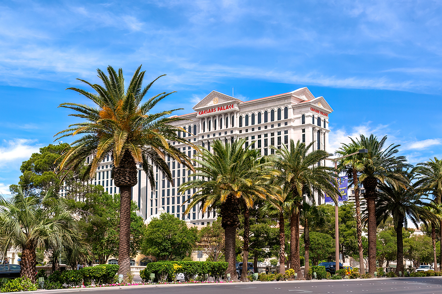 Reasons People are Moving to Las Vegas 