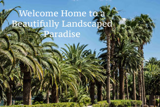 Spanish Hills Landscaping