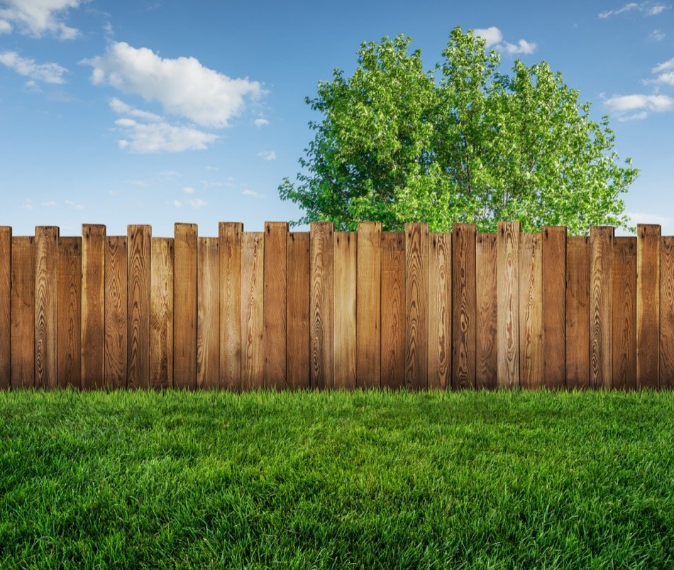 58 Top Photos Fencing A Backyard / 118 Fence Ideas And Designs