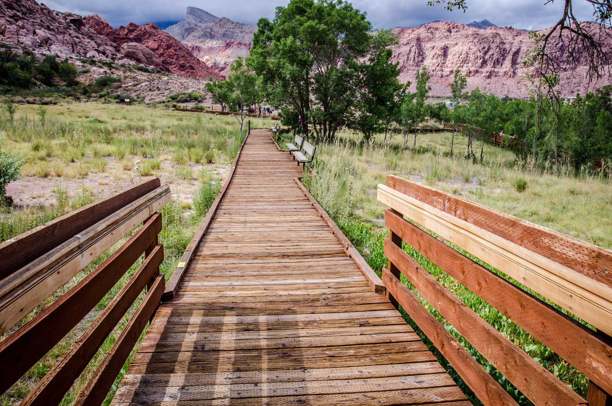 Where to Hike in Las Vegas