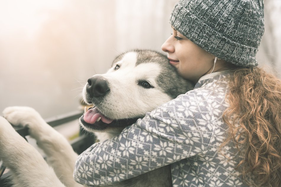 4 Tips for Selling a Home With Pets