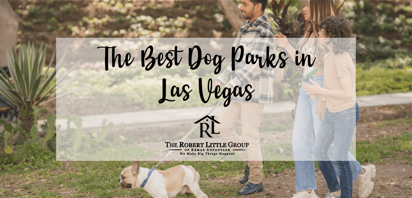 Best Dog Parks in Las Vegas