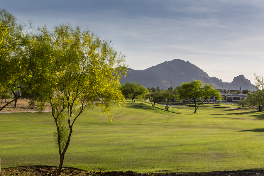 Henderson Golf Course Lots For Sale