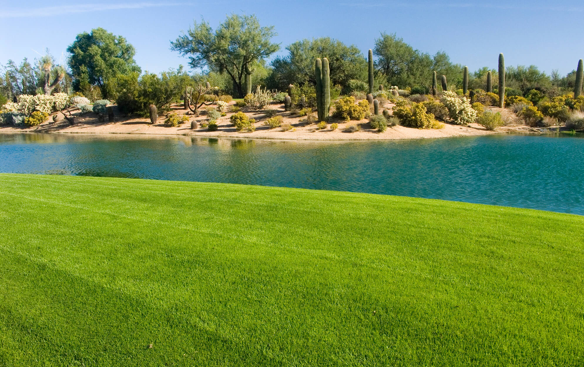 Lake Las Vegas Homes With Golf Course Views