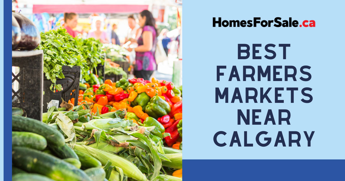 10 Farmers Markets In & Around Calgary