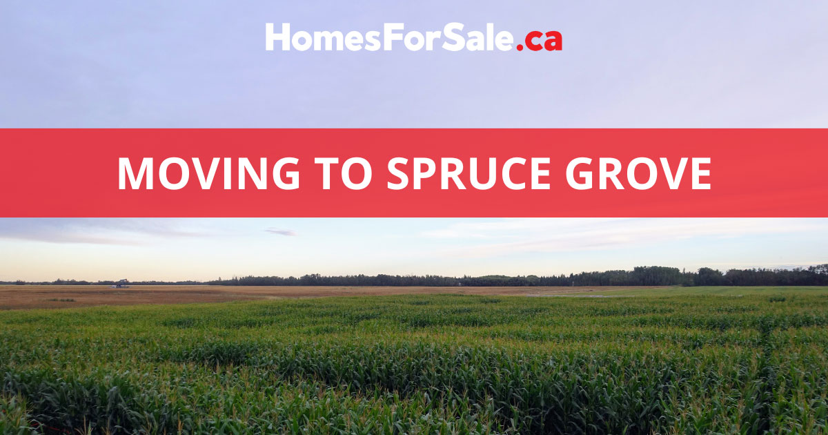 Moving to Spruce Grove 10 Reasons to Live in Spruce Grove