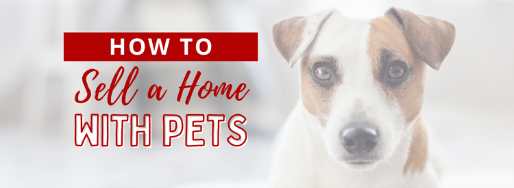 How to Sell a Home with Pets