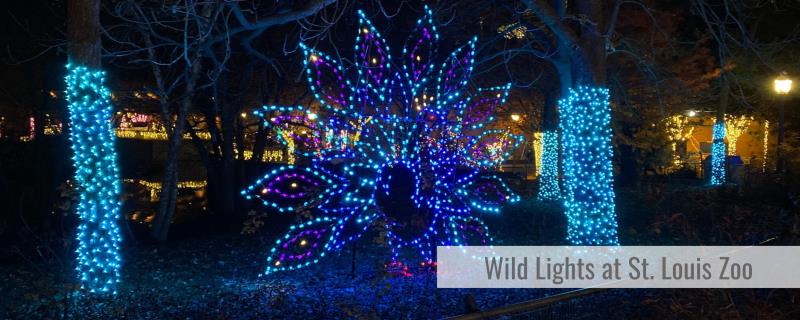 Wild Lights at the St. Louis Zoo