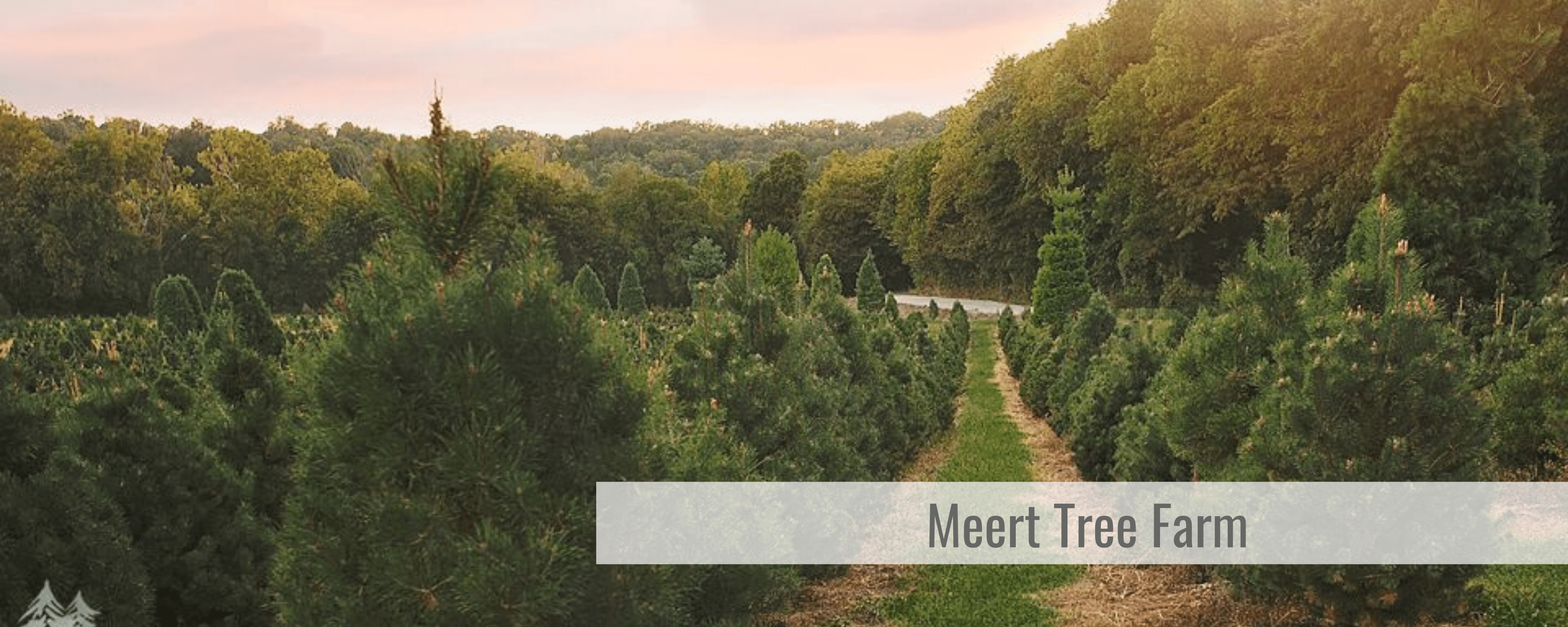 Meert Tree Farm