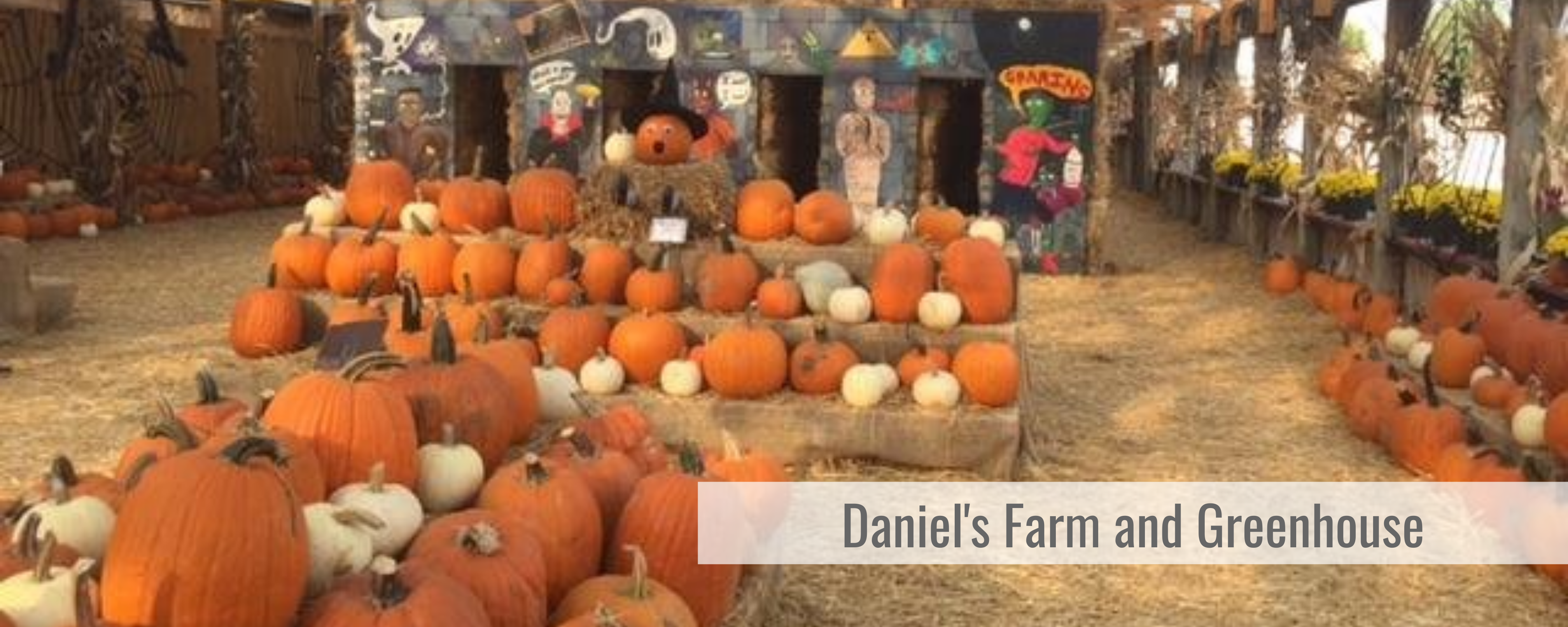 Daniels Farm and Greenhouse