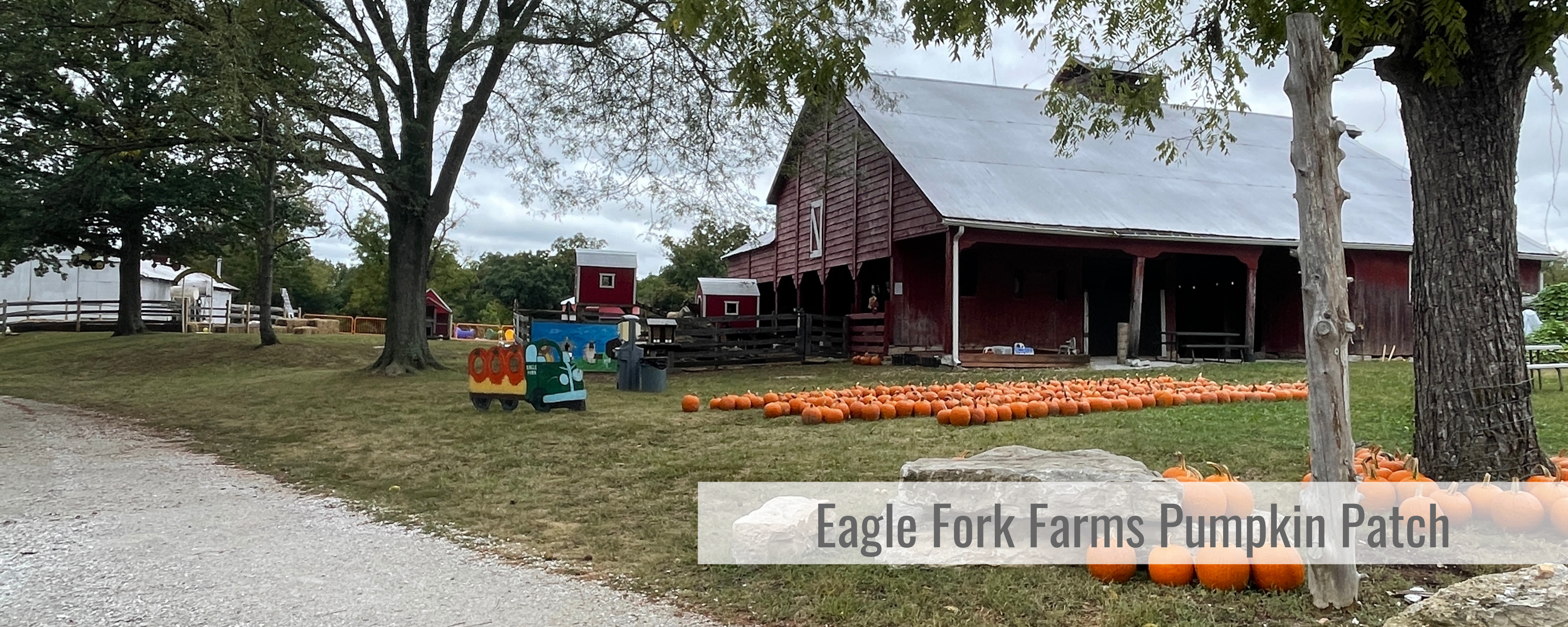 Eagle Fork Farms Pumpkin Patch