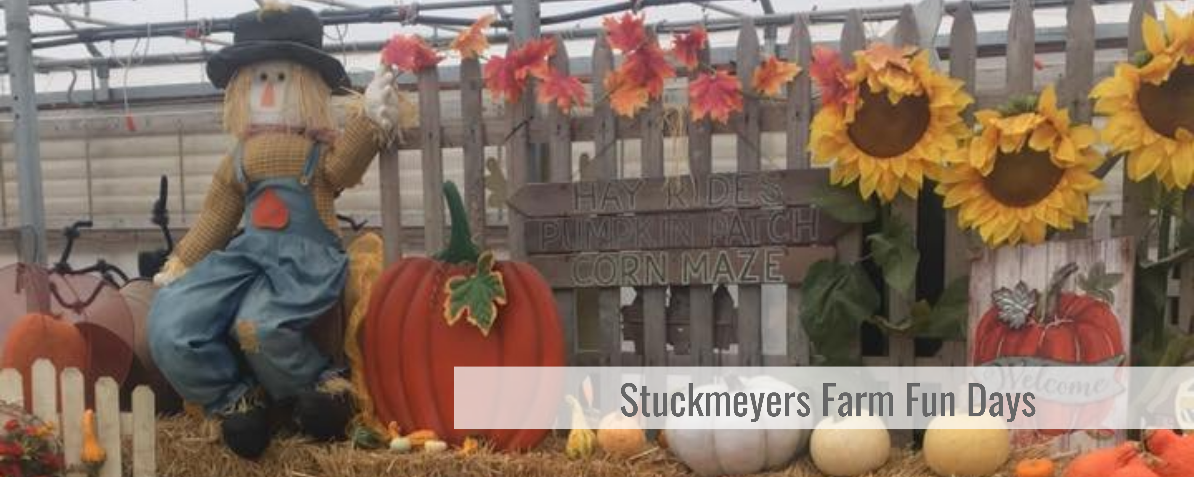 Stuckmeyers Farm