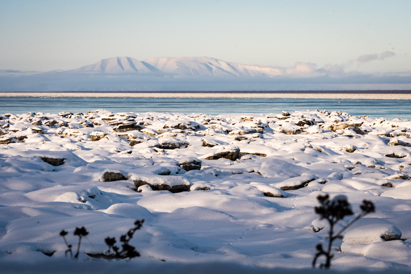 Earthquake Park in Anchorage, AK