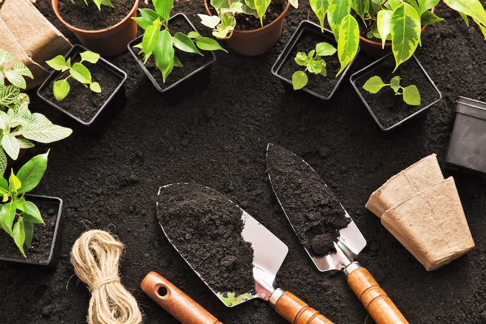 Home Gardening and Landscaping Tips