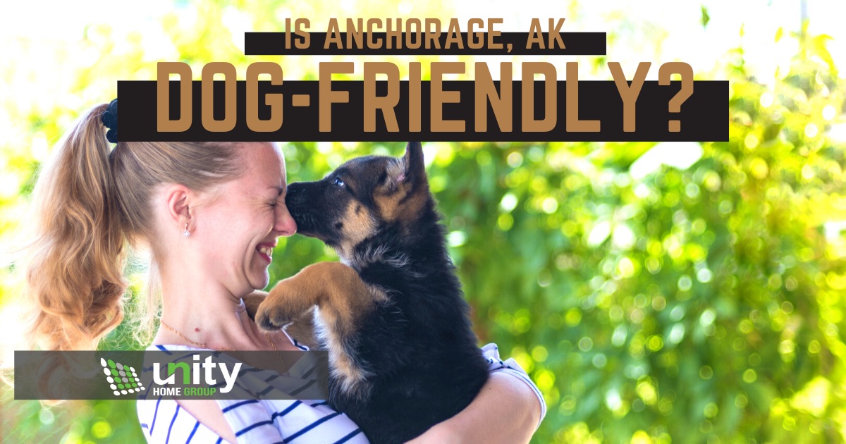 The Best Dog Friendly Places to Take Your Dog in Anchorage AK