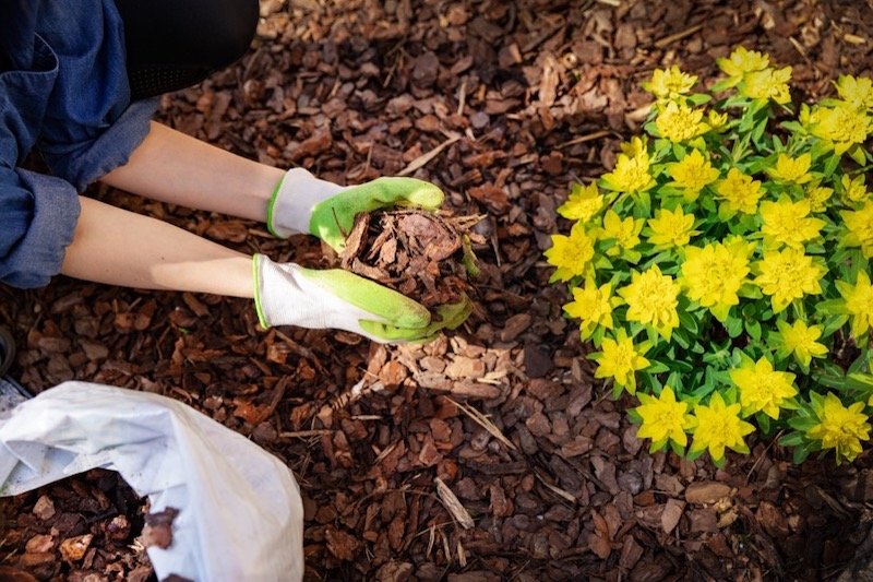 Straw Garden Mulch: The Ultimate Guide