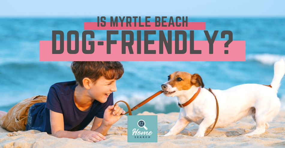 Is Myrtle Beach Dog-Friendly? The Best Places to Take Your Dog in