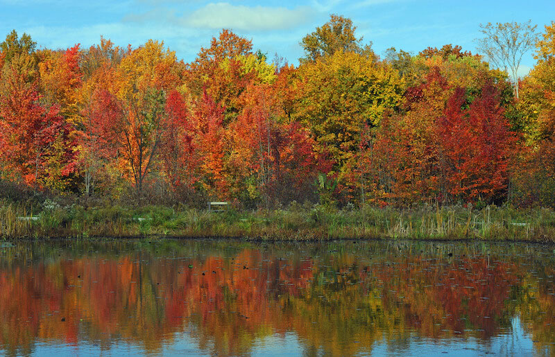 Moving to Chagrin Falls: 5 Reasons to Live in Chagrin Falls OH