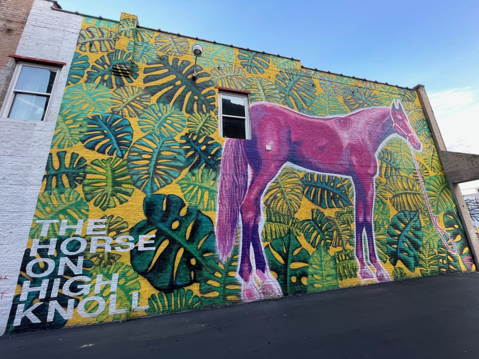 Horse Mural Street Art in Lexington KY