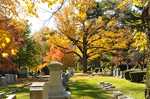 Lexington Cementary in Fall with Yellow Leaves on the trees
