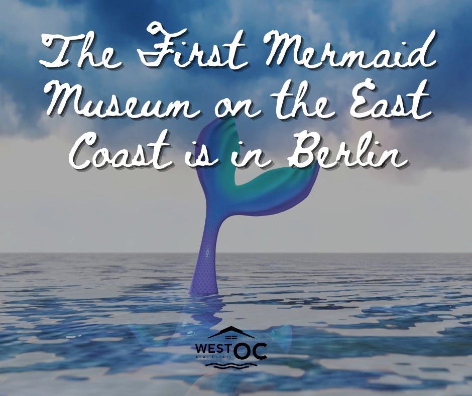 The First Mermaid Museum on the East Coast is in Berlin The First Mermaid Museum on the East Coast is in Berlin