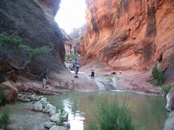 Redrock