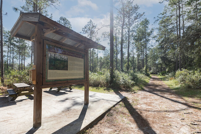 Julington-Durbin Creek Preserve in Bartram Park, Jacksonville, Florida