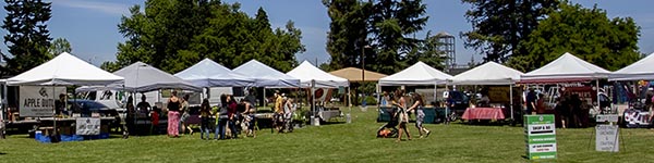 The Medford Farmers Market