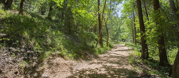 Ashland Park Path