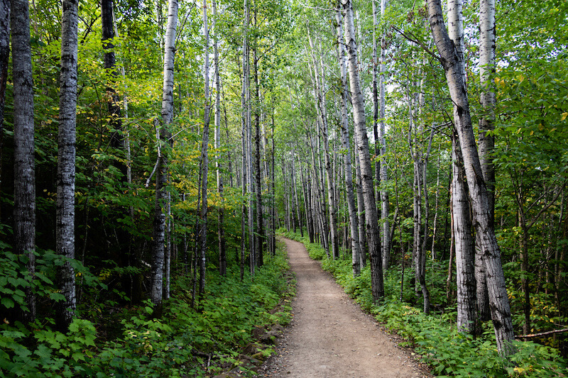 Birchwood Trails Span 135 Kilometres