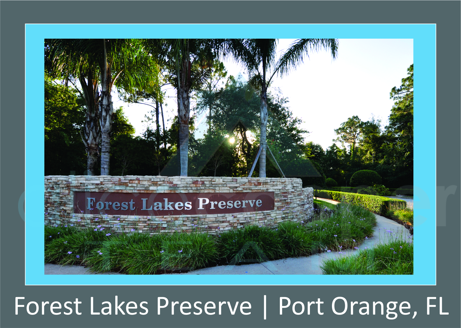 Forest Lakes Preserve