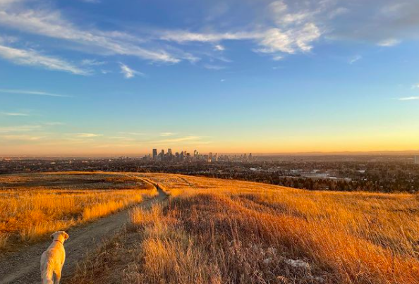 Nose Hill Park in NW Calgary AB