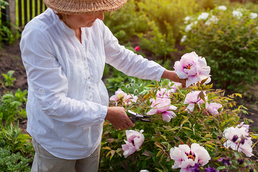 Take a Garden Tour June 3 Joe Hayden Real Estate Team Your Real