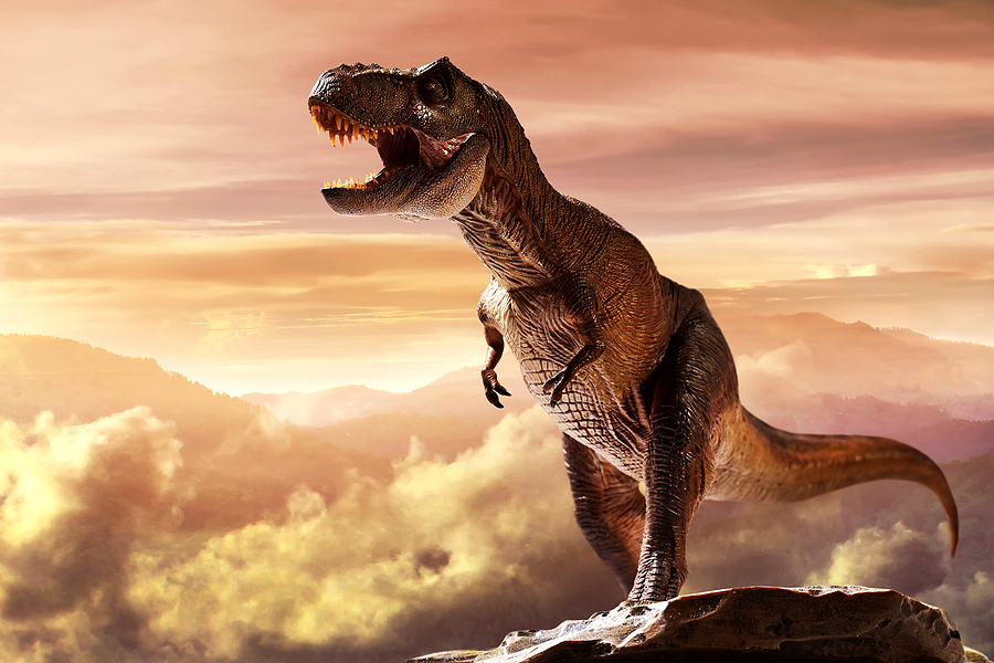 Go to a dinosaur preschool party august 19 joe hayden real estate