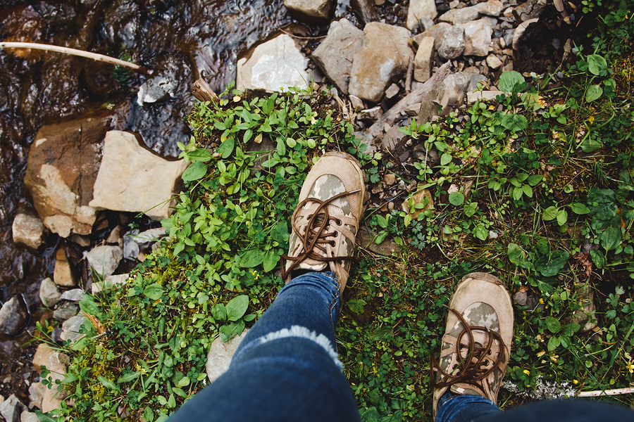 Take Your First Hike of the Year at the Falls of the Ohio January 1 ...