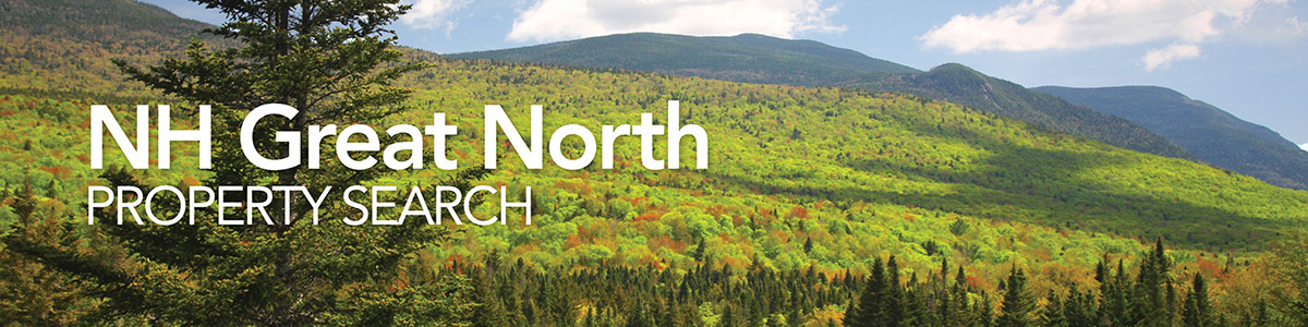 NH Great North Property Search