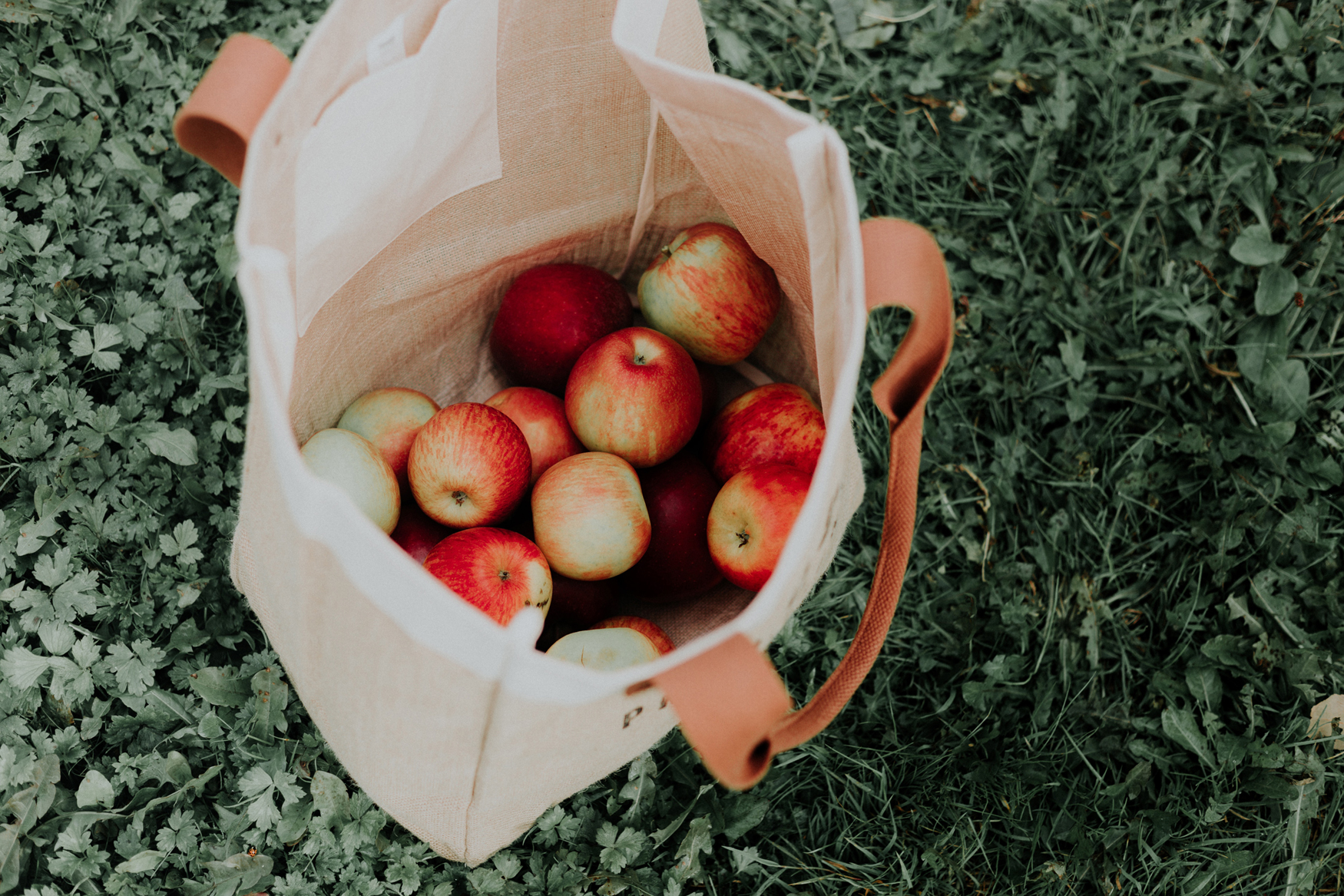 Fall will likely see more apples in bags and totes