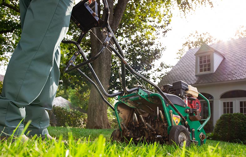 Aerating lawn deals in fall