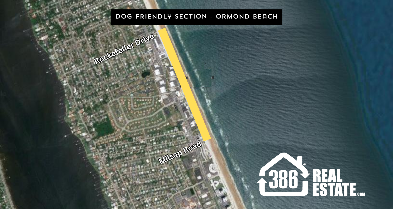 dog friendly beach ormond