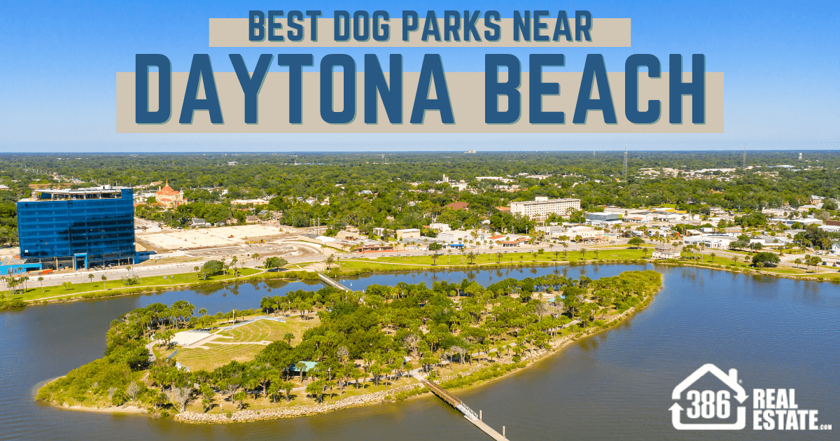 Best Dog Parks Near Daytona Beach