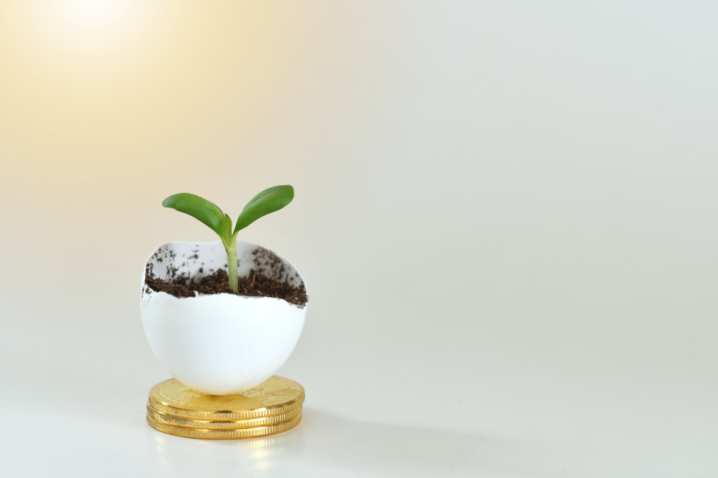 nest egg growing a small plant root on top of gold coins